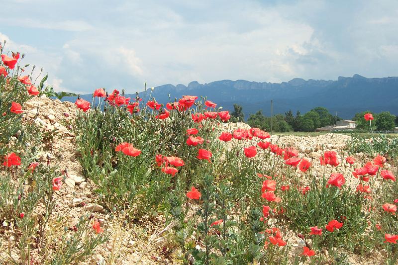 2011-05- (1326).JPG - Das Alpenvorgebirge - der Parc du Vercors - rückt immer näher ...